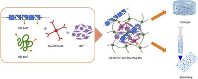 Design and Synthesis of Chitosan—Gelatin Hybrid Hydrogels for 3D Printable in vitro Models